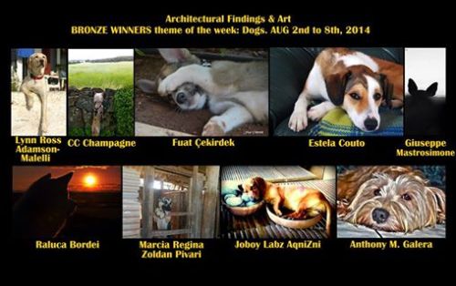 Bronze Winner, Architectural Findings & Art, theme dogs 2-8 August.